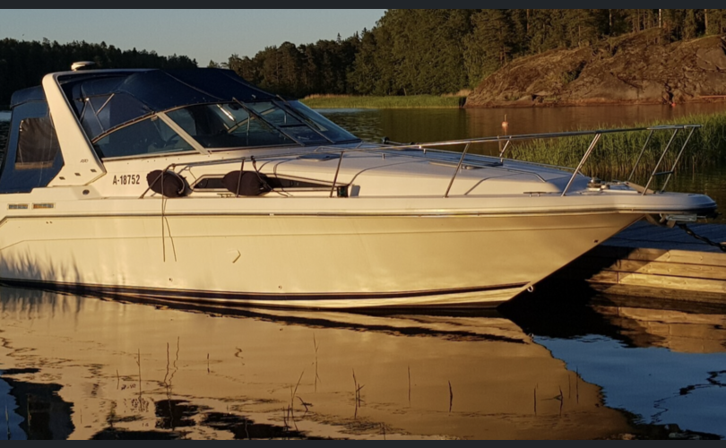 Sea Ray 290 SDA-kuva-3